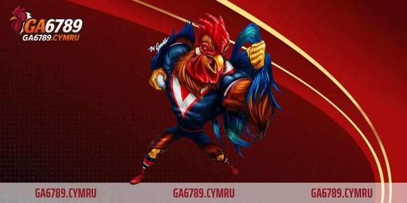 Đá gà cựa sắt Thomo – Sân chơi huyền thoại của giới đam mê