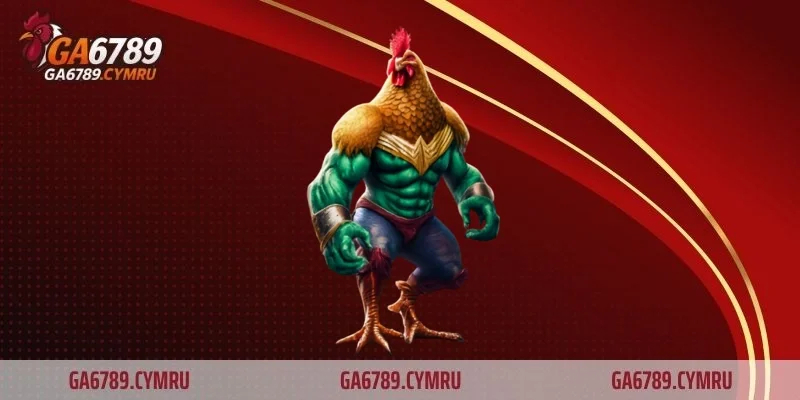 Quan sát phản ứng của gà sau khi áp dụng