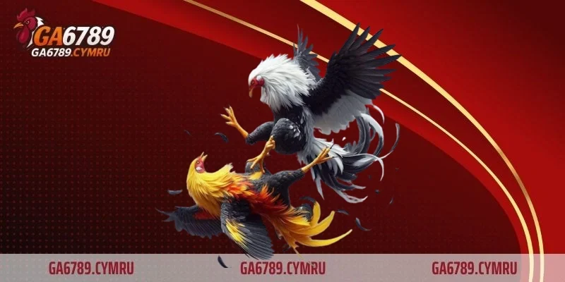 Quản lý vốn cá cược thông minh