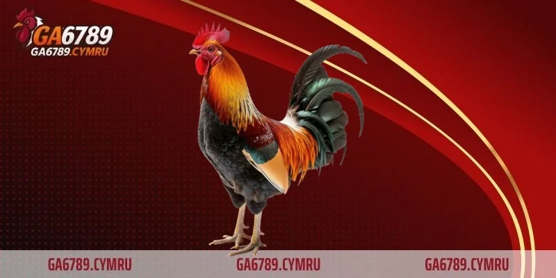 Thanh toán nhanh chóng – tiện lợi