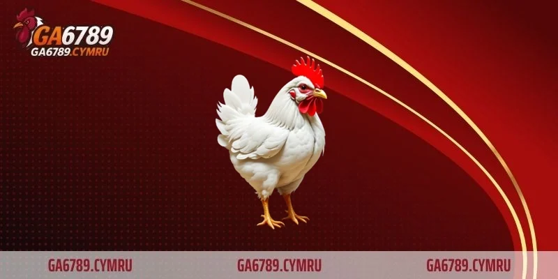 Hướng dẫn các bước đăng ký