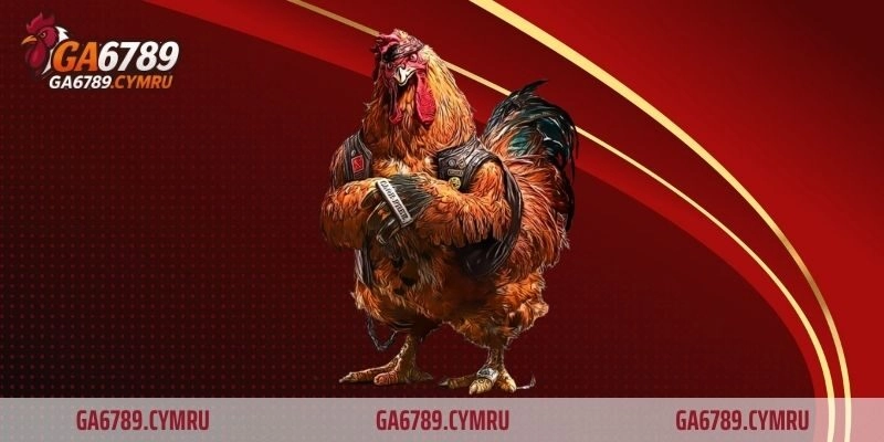 Hệ thống khuyến mãi siêu hấp dẫn